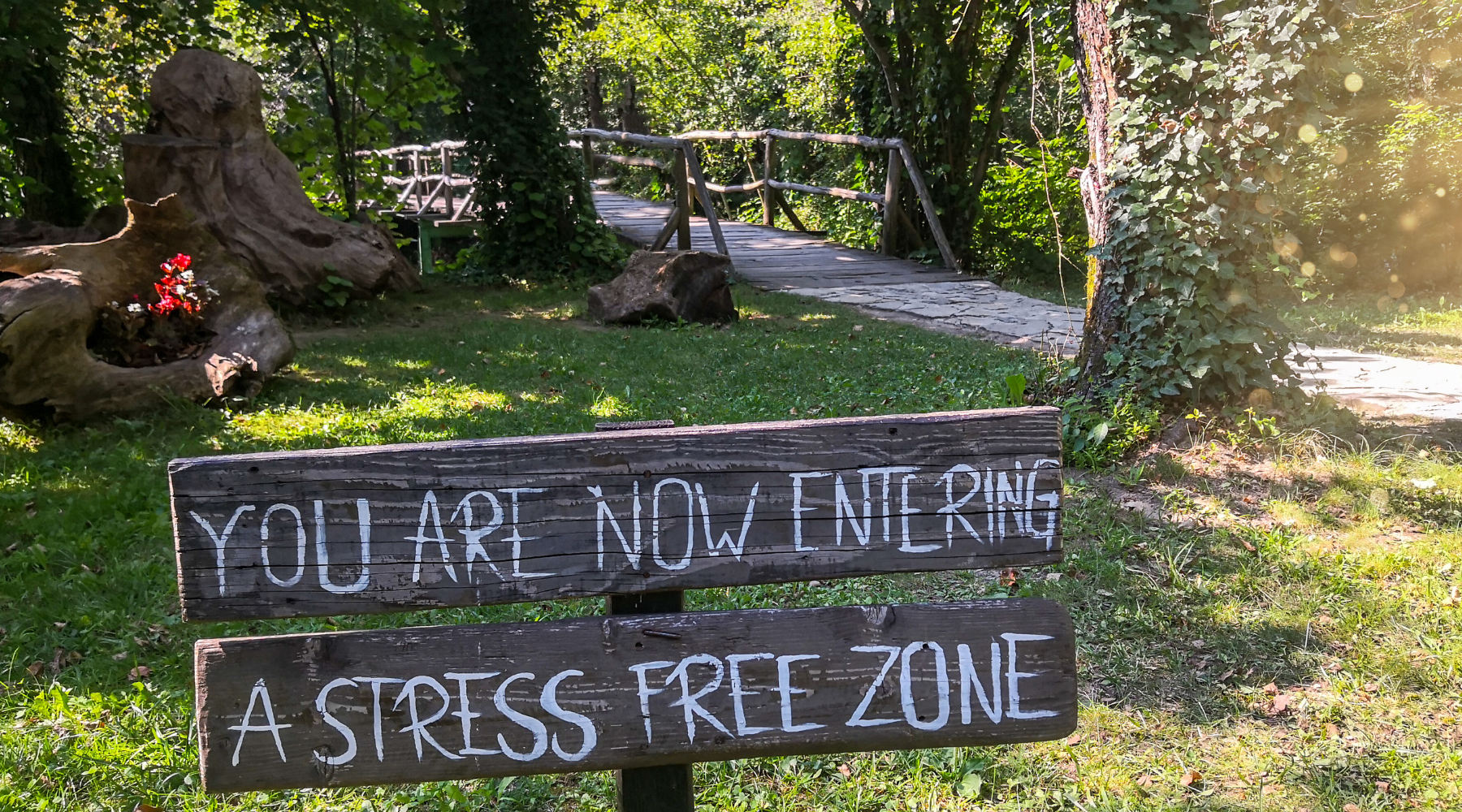 Productivity in a World of Distractions: Stay Positive with UltraGreen